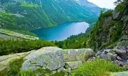 पहाड़ पर फिर हरियाली