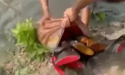 पानी में छिपाए गए हथियारों का जखीरा बरामद, सीएम सुवेंदु अधिकारी ने पुलिस को सफलता पर दी बधाई