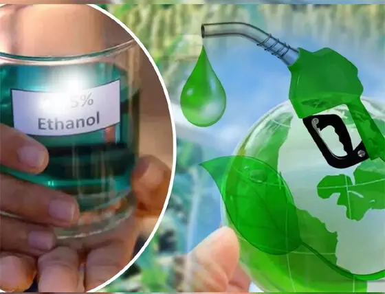 तेल के बदले एथेनॉल : समाधान जब समस्या बन जाए? तेल के बदले एथेनॉल : समाधान जब समस्या बन जाए?