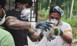 केरल में निपाह और शिगेला के बढ़ाते मामले पर हाई कोर्ट सख्त केरल में निपाह और शिगेला के बढ़ाते मामले पर हाई कोर्ट सख्त