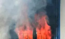दक्षिण दिल्ली के फ्लाईओवर के पास रेस्तरां में लगी आग, बुजुर्ग महिला को सुरक्षित बचाया गया