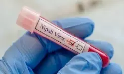 निपाह वायरस के खतरे को मद्देनजर रखते हुए तमिलनाडु के नीलगिरि में बढ़ाई गई सुरक्षा