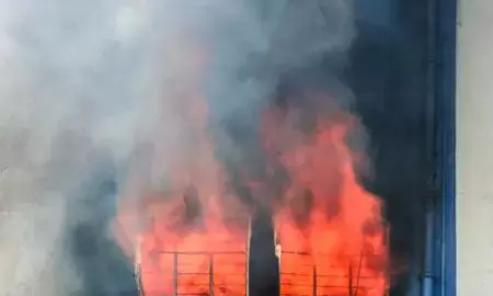 दक्षिण दिल्ली के फ्लाईओवर के पास रेस्तरां में लगी आग, बुजुर्ग महिला को सुरक्षित बचाया गया