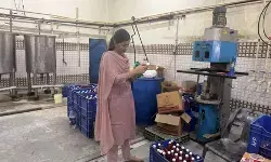 गौतमबुद्ध नगर: खाद्य सुरक्षा विभाग का बड़ा अभियान, प्रोसेस्ड फूड उत्पादों के 8 नमूने जांच को भेजे गए