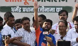 कॉकरोच जनता पार्टी: सोशल मीडिया पर धमाल के बाद जमीनी हकीकत क्या है? कॉकरोच जनता पार्टी: सोशल मीडिया पर धमाल के बाद जमीनी हकीकत क्या है?