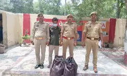 नोएडा : तस्करी का बड़ा खुलासा, 4.5 लाख रुपए कीमत का 21 किलो से अधिक गांजा बरामद नोएडा : तस्करी का बड़ा खुलासा, 4.5 लाख रुपए कीमत का 21 किलो से अधिक गांजा बरामद