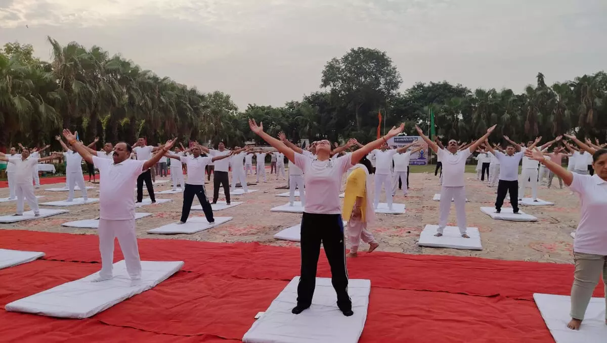 योगमय हुई पुलिस लाइन, फिटनेस और मानसिक स्वास्थ्य का लिया संकल्प योगमय हुई पुलिस लाइन, फिटनेस और मानसिक स्वास्थ्य का लिया संकल्प