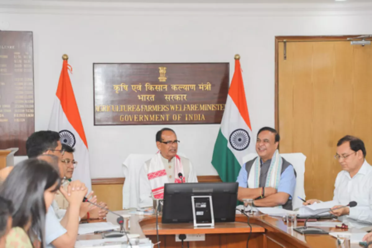 असम ने कृषि निधि के कार्यान्वयन में महत्वपूर्ण प्रगति की है: मुख्यमंत्री सरमा असम ने कृषि निधि के कार्यान्वयन में महत्वपूर्ण प्रगति की है: मुख्यमंत्री सरमा