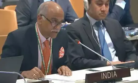 राजनीतिकरण करने के लिए भारत ने की पाकिस्तान की आलोचना राजनीतिकरण करने के लिए भारत ने की पाकिस्तान की आलोचना