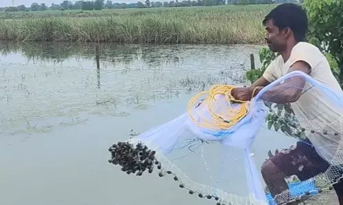 रोजी-रोटी भी देती हैं नदियां
