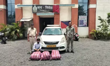 महासमुंद पुलिस की बड़ी कार्रवाई: अंतरराज्यीय ड्रग तस्कर से 51 किलो गांजा बरामद, एक गिरफ्तार