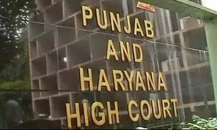 पंजाब-हरियाणा हाईकोर्ट में 167 पदों पर निकली भर्ती, 30 जून तक आवेदन करने का मौका पंजाब-हरियाणा हाईकोर्ट में 167 पदों पर निकली भर्ती, 30 जून तक आवेदन करने का मौका