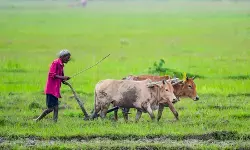 किसान सारथी प्लेटफॉर्म से जुड़े करीब 3 करोड़ किसान किसान सारथी प्लेटफॉर्म से जुड़े करीब 3 करोड़ किसान