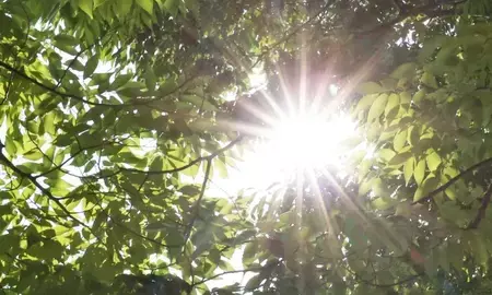 दक्षिण कोरिया ने इस साल पहली बार पूरे सोल के लिए किया हीट वेव एडवाइजरी जारी