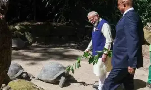 सेशल्स दौरे का हासिल