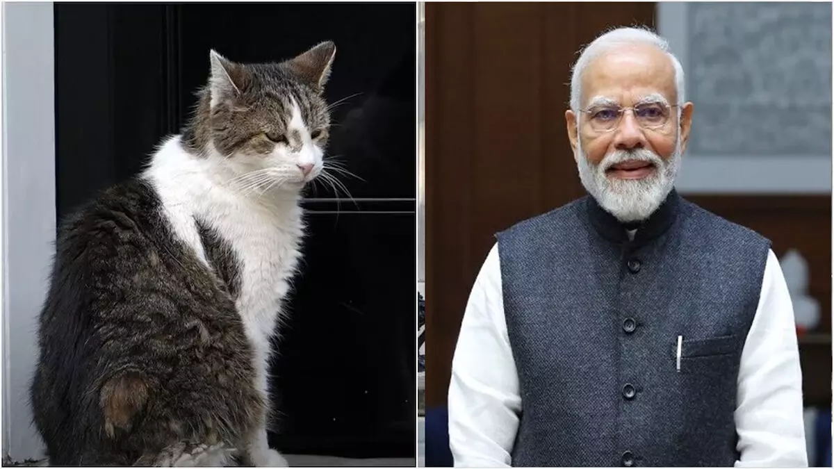 लैरी द कैट और प्रधानमंत्री मोदी लैरी द कैट और प्रधानमंत्री मोदी