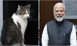 लैरी द कैट और प्रधानमंत्री मोदी लैरी द कैट और प्रधानमंत्री मोदी