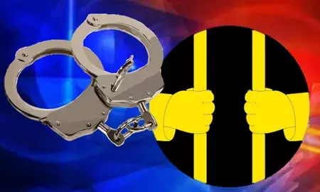 टीवीके विधायक को लुभाने की कथित कोशिश मामले में तीन गिरफ्तार, डीएमके के पदाधिकारी भी शामिल टीवीके विधायक को लुभाने की कथित कोशिश मामले में तीन गिरफ्तार, डीएमके के पदाधिकारी भी शामिल