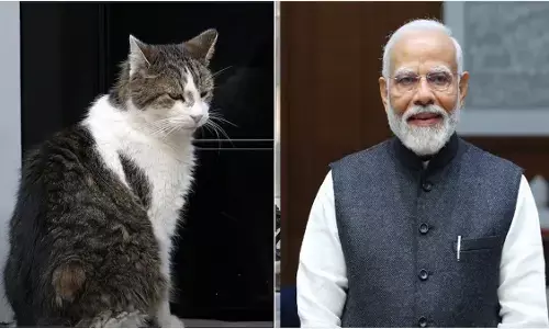 लैरी द कैट और प्रधानमंत्री मोदी लैरी द कैट और प्रधानमंत्री मोदी