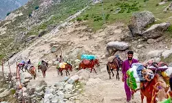 अमरनाथ यात्रा को लेकर प्रशासन ने जारी की एडवाइजरी, कहा-बिना एडवांस पंजीकरण न आएं अमरनाथ यात्रा को लेकर प्रशासन ने जारी की एडवाइजरी, कहा-बिना एडवांस पंजीकरण न आएं
