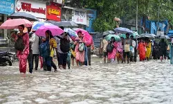 महाराष्ट्र के कई इलाकों में भारी बारिश, ऑरेंज अलर्ट के बीच पालघर में आज बंद रहेंगे स्कूल महाराष्ट्र के कई इलाकों में भारी बारिश, ऑरेंज अलर्ट के बीच पालघर में आज बंद रहेंगे स्कूल