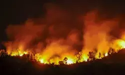 फ्रांस-स्पेन सीमा पर आग का कहर – 1,500 हेक्टेयर जंगल राख फ्रांस-स्पेन सीमा पर आग का कहर – 1,500 हेक्टेयर जंगल राख