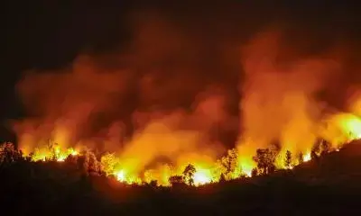 फ्रांस-स्पेन सीमा पर आग का कहर – 1,500 हेक्टेयर जंगल राख फ्रांस-स्पेन सीमा पर आग का कहर – 1,500 हेक्टेयर जंगल राख