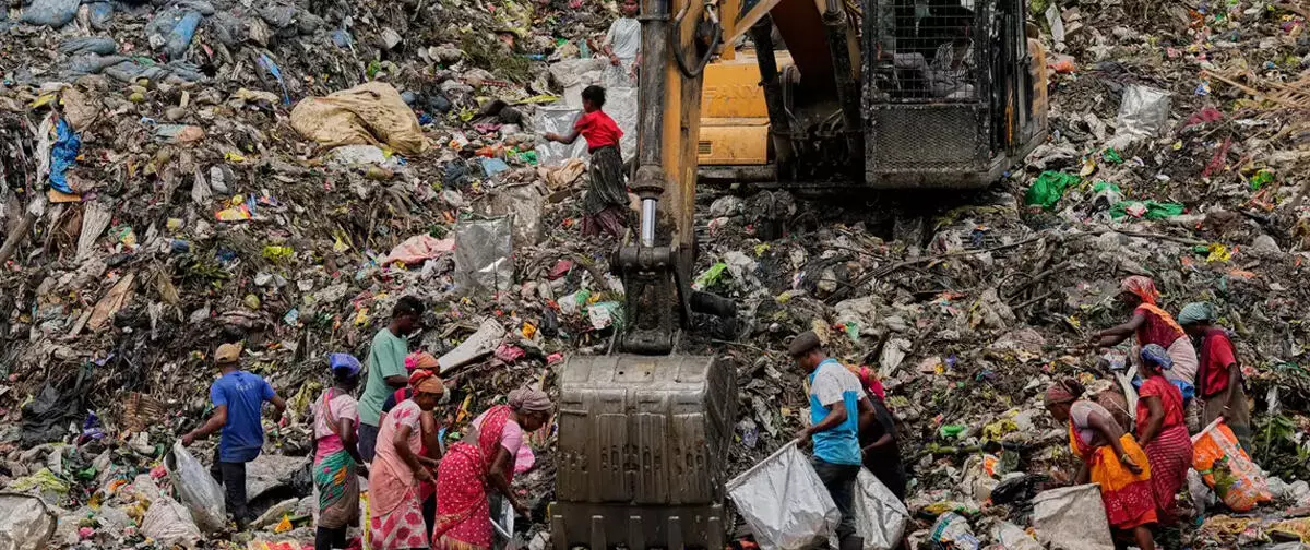 पर्यावरण संरक्षण में क्यों पिछड़ रहा है भारत पर्यावरण संरक्षण में क्यों पिछड़ रहा है भारत