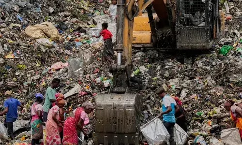 पर्यावरण संरक्षण में क्यों पिछड़ रहा है भारत पर्यावरण संरक्षण में क्यों पिछड़ रहा है भारत