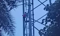 प्रेमिका ने तोड़ा रिश्ता तो नाराज होकर मोबाइल टावर पर चढ़ा दो बच्चों का पिता, घंटों चला हाई वोल्टेज ड्रामा प्रेमिका ने तोड़ा रिश्ता तो नाराज होकर मोबाइल टावर पर चढ़ा दो बच्चों का पिता, घंटों चला हाई वोल्टेज ड्रामा
