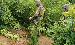 नागालैंड: चुमौकेदिमा आईईडी विस्फोट की नागालैंड कांग्रेस ने की निंदा, शहीद जवान को दी श्रद्धांजलि
