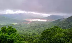 दक्षिण भारत में कमजोर पड़ा दक्षिण-पश्चिम मानसून, 17 जुलाई के बाद बारिश बढ़ने की संभावना दक्षिण भारत में कमजोर पड़ा दक्षिण-पश्चिम मानसून, 17 जुलाई के बाद बारिश बढ़ने की संभावना