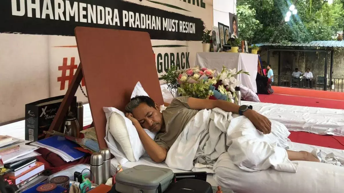 शक्ति के साथ मान्यता के लिये कॉकरोचों को राहुल की दरकार शक्ति के साथ मान्यता के लिये कॉकरोचों को राहुल की दरकार