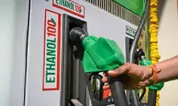 E20 पेट्रोल विवाद पर उपभोक्ता आयोग का बड़ा फैसला, कार कंपनी को नई गाड़ी देने या पूरी राशि लौटाने के निर्देश