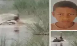 यूपी के बहराइच में 12 साल के बच्चे को मगरमच्छ जिंदा खा गया, नदी किनारे हाथ-पैर धोते समय जबड़े में दबाकर खींच ले गया यूपी के बहराइच में 12 साल के बच्चे को मगरमच्छ जिंदा खा गया, नदी किनारे हाथ-पैर धोते समय जबड़े में दबाकर खींच ले गया