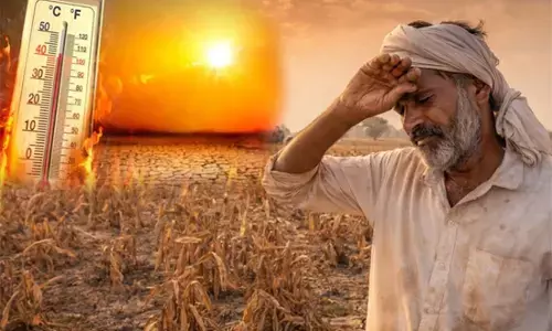 बढ़ता तापमान प्रभावित जीवन!