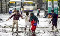 राजस्थान में मानसून मेहरबान: प्रदेश में भारी बारिश का अलर्ट जारी, माउंट आबू में 195 मिमी से अधिक बरसात; झरने और नदियां उफान पर