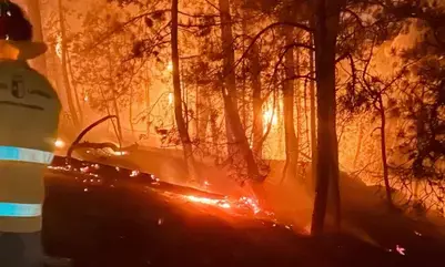फ्रांस में जंगलों की आग से संकट गहराया