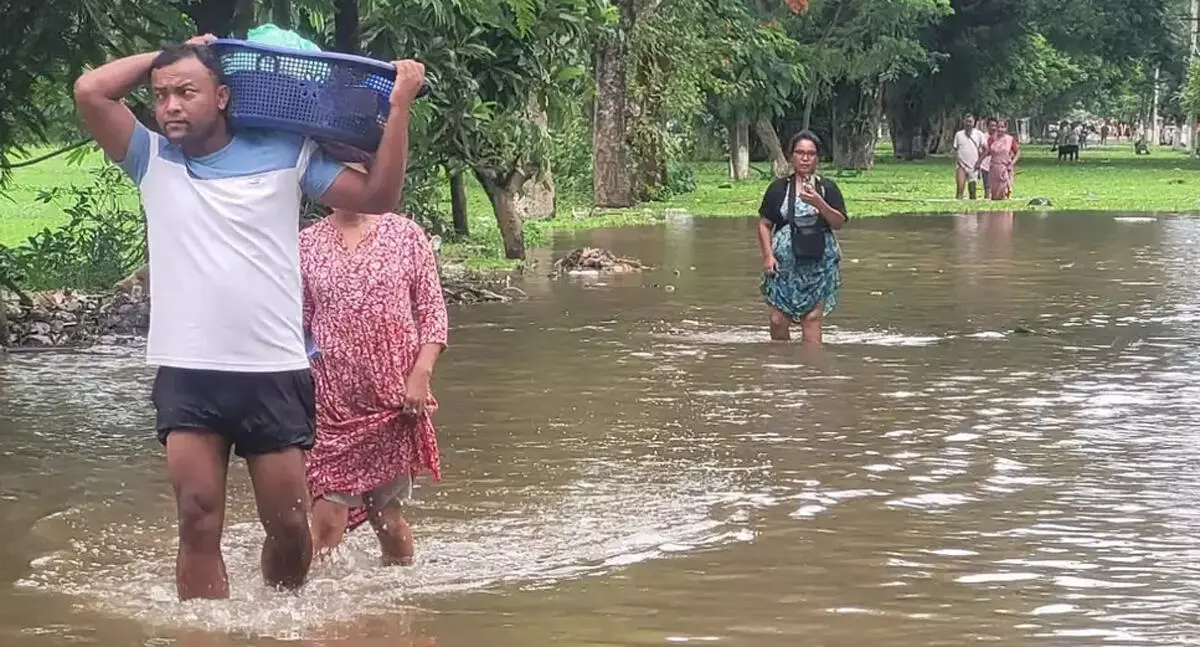 इस साल अलग क्यों है असम की बाढ़ इस साल अलग क्यों है असम की बाढ़