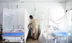 पाकिस्तान में बढ़ते जा रहे एचआईवी के मामले