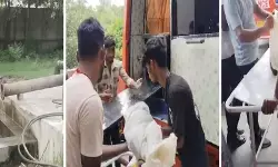 नोएडा में मासूम की मौत : खेलते-खेलते होदी में गिरा नोएडा में मासूम की मौत : खेलते-खेलते होदी में गिरा