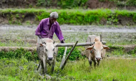 कैबिनेट ने पीएम-किसान योजना को वित्त वर्ष 2027 से 2031 तक जारी रखने को दी मंजूरी, किसानों पर खर्च होंगे 3.15 लाख करोड़ रुपए कैबिनेट ने पीएम-किसान योजना को वित्त वर्ष 2027 से 2031 तक जारी रखने को दी मंजूरी, किसानों पर खर्च होंगे 3.15 लाख करोड़ रुपए