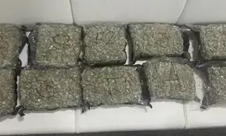 डीआरआई ने पांच विदेशी समेत 20 आरोपियों को किया गिरफ्तार, 9.5 किलो सोना जब्त डीआरआई ने पांच विदेशी समेत 20 आरोपियों को किया गिरफ्तार, 9.5 किलो सोना जब्त