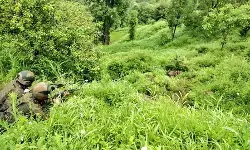जम्मू-कश्मीर के पुंछ में संदिग्ध आतंकवादी गतिविधि के बाद हड़कंप: सुरक्षा बलों ने इलाके को घेरा, बड़े पैमाने पर सर्च ऑपरेशन जारी जम्मू-कश्मीर के पुंछ में संदिग्ध आतंकवादी गतिविधि के बाद हड़कंप: सुरक्षा बलों ने इलाके को घेरा, बड़े पैमाने पर सर्च ऑपरेशन जारी