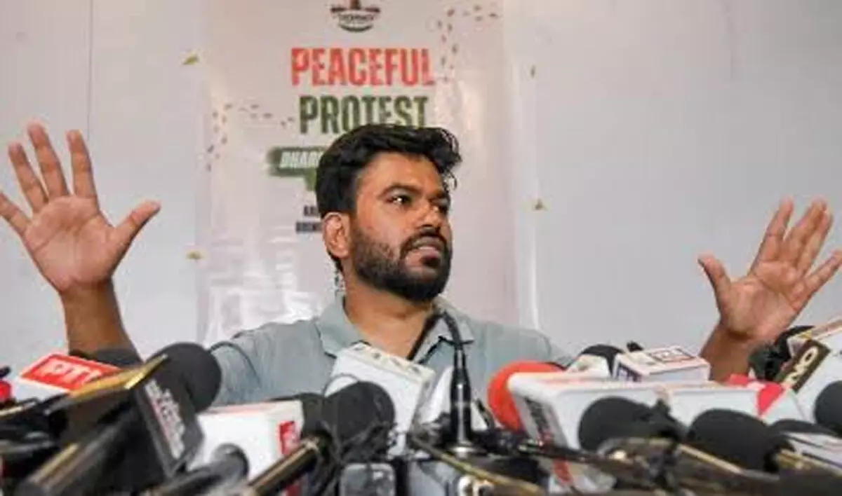 कॉकरोच अब किस दिशा में बढ़ेंगे कॉकरोच अब किस दिशा में बढ़ेंगे