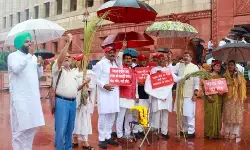 राम मंदिर चढ़ावे के मुद्दे पर संसद में गरमाई राजनीति: सपा सांसदों ने मकर द्वार पर किया जोरदार प्रदर्शन; गृह मंत्री अमित शाह से सदन में जवाब देने की मांग राम मंदिर चढ़ावे के मुद्दे पर संसद में गरमाई राजनीति: सपा सांसदों ने मकर द्वार पर किया जोरदार प्रदर्शन; गृह मंत्री अमित शाह से सदन में जवाब देने की मांग