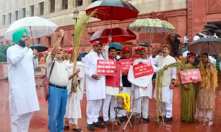 राम मंदिर चढ़ावे के मुद्दे पर संसद में गरमाई राजनीति: सपा सांसदों ने मकर द्वार पर किया जोरदार प्रदर्शन; गृह मंत्री अमित शाह से सदन में जवाब देने की मांग राम मंदिर चढ़ावे के मुद्दे पर संसद में गरमाई राजनीति: सपा सांसदों ने मकर द्वार पर किया जोरदार प्रदर्शन; गृह मंत्री अमित शाह से सदन में जवाब देने की मांग