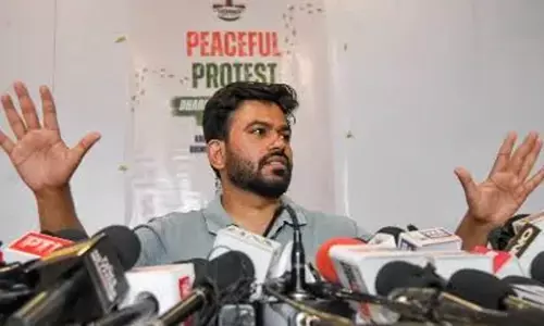 कॉकरोच अब किस दिशा में बढ़ेंगे कॉकरोच अब किस दिशा में बढ़ेंगे