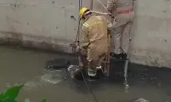 गाजियाबाद में टला बड़ा हादसा! दलदली नाले में फंसे व्यक्ति को दमकल टीम ने जांबाजी से निकाला बाहर गाजियाबाद में टला बड़ा हादसा! दलदली नाले में फंसे व्यक्ति को दमकल टीम ने जांबाजी से निकाला बाहर