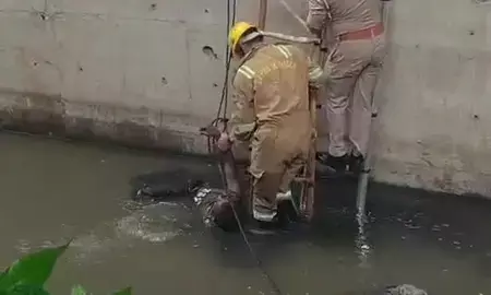 गाजियाबाद में टला बड़ा हादसा! दलदली नाले में फंसे व्यक्ति को दमकल टीम ने जांबाजी से निकाला बाहर गाजियाबाद में टला बड़ा हादसा! दलदली नाले में फंसे व्यक्ति को दमकल टीम ने जांबाजी से निकाला बाहर